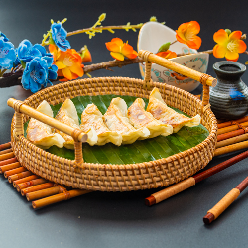 Gyoza au poulet